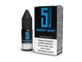 5EL - Berry Mint - Nikotinsalz Liquid 20 mg/ml 10er Packung