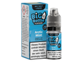 Big Bottle - Arctic Mint - Nikotinsalz Liquid 20 mg/ml
