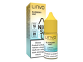 Linvo - Blueberry Mint - Nikotinsalz Liquid 20 mg/ml 10er Packung